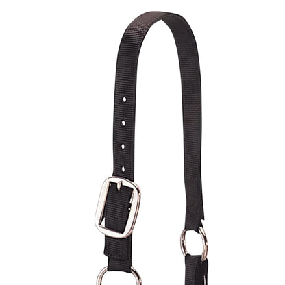 Weaver Leather Medium Cattle Halter with Double Stitched Nylon and Chin Choker