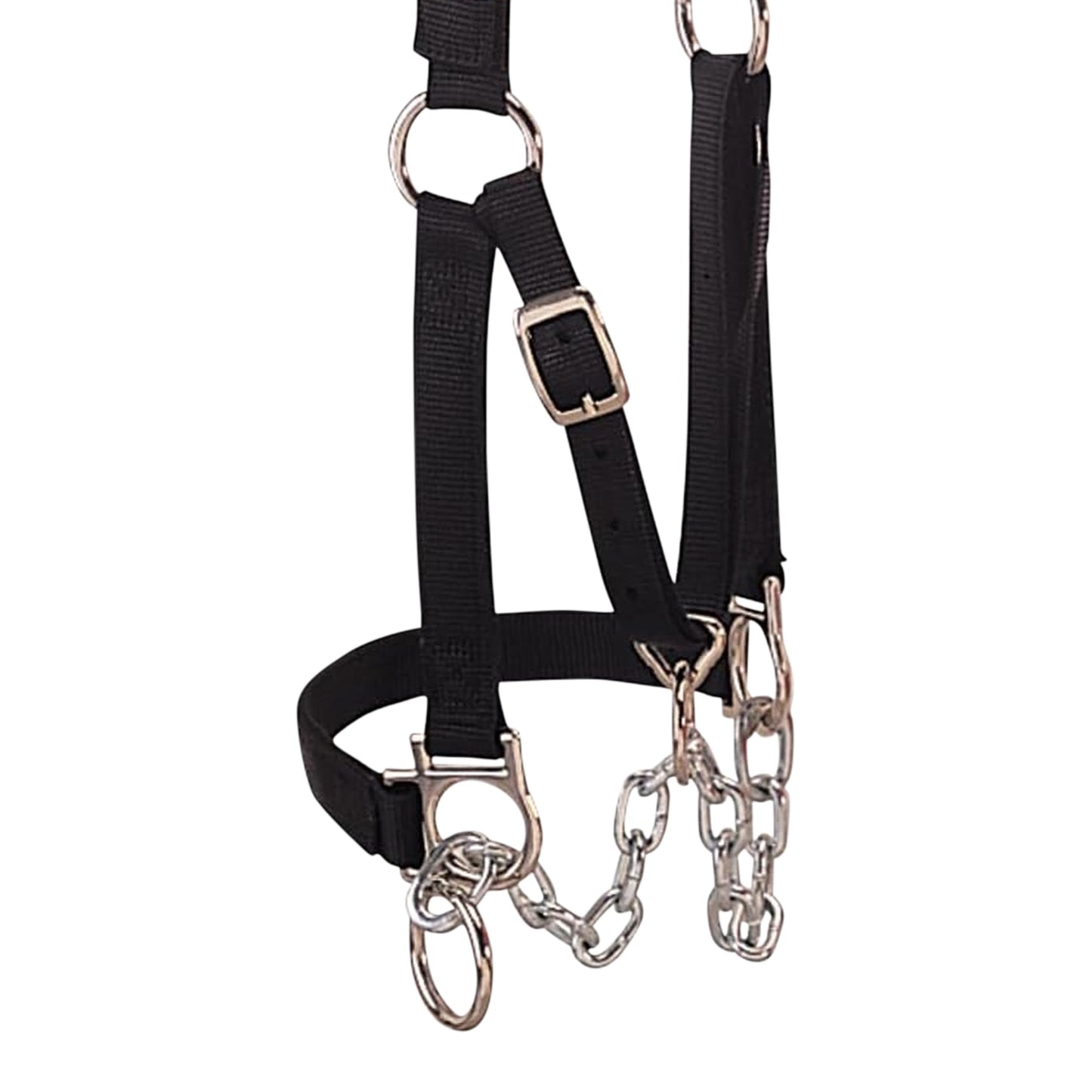 Weaver Leather Medium Cattle Halter with Double Stitched Nylon and Chin Choker