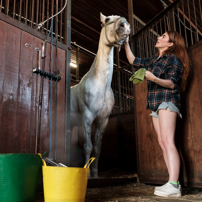API 1000 Watt Thermostatic Pail or Bucket Water Heater with Wire Guard, Silver