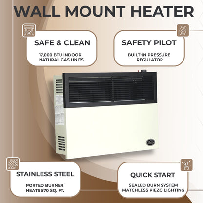 Ashley Hearth Products 17,000 BTU Direct Vent Liquid Buddy Propane Wall Mount Heater