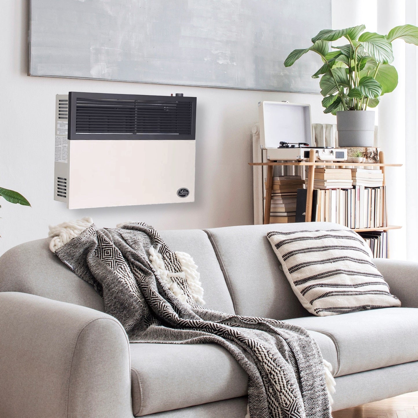 Ashley Hearth Products 17,000 BTU Direct Vent Liquid Buddy Propane Wall Mount Heater