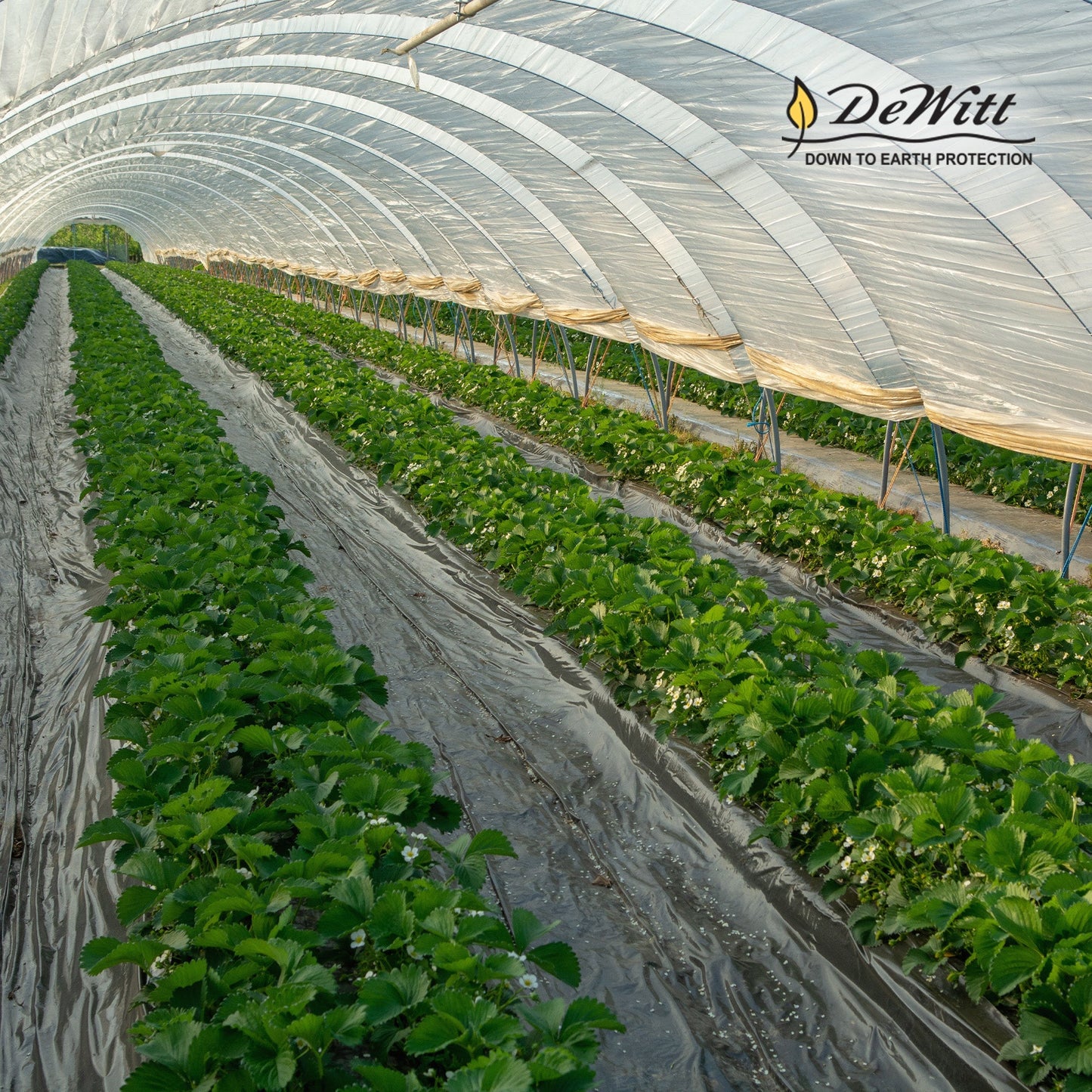 DeWitt Weed Barrier Pro Landscape Fabric in Brown (3 Ounces), 3' x 100' Refill