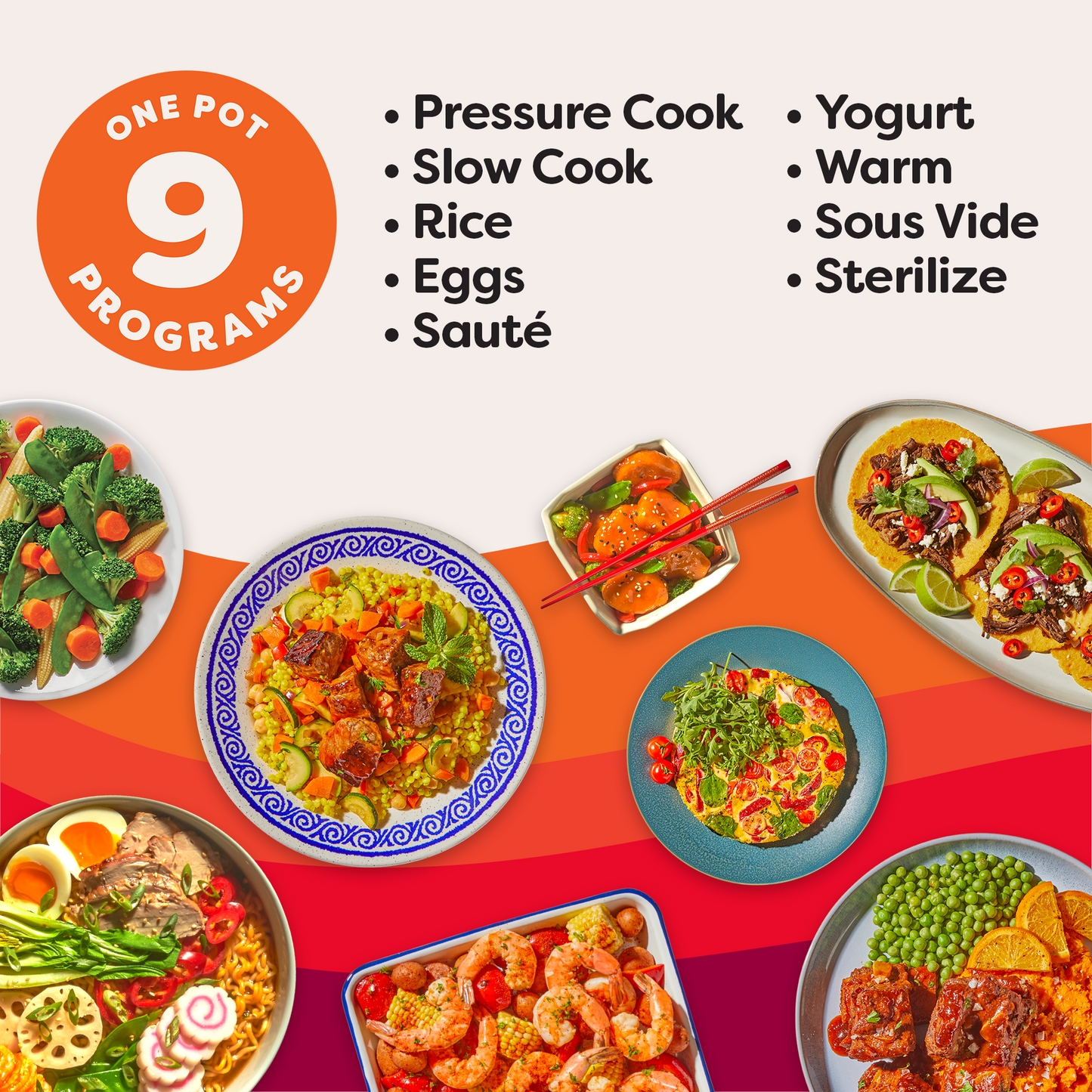 Instant Pot Duo Plus 6-quart Multi-Cooker