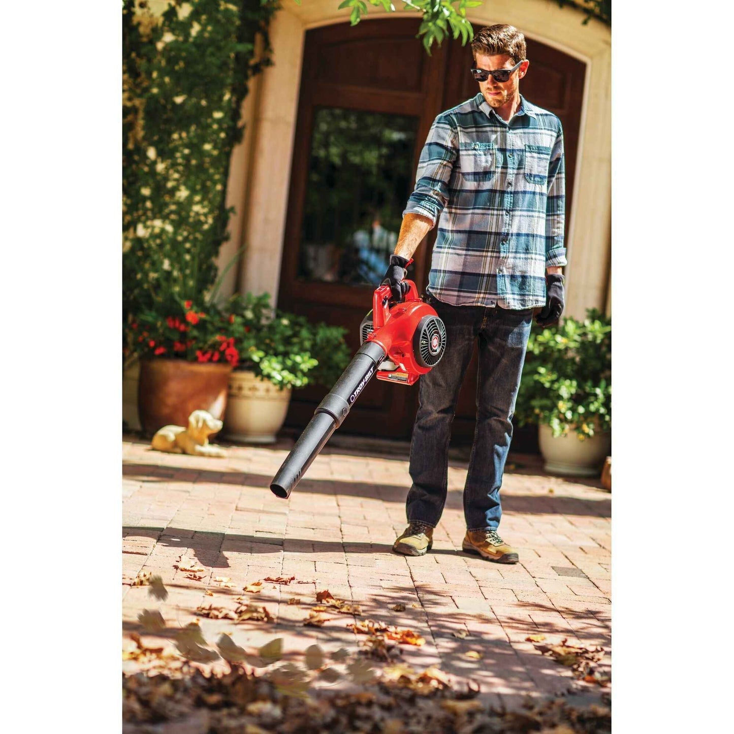 Troy-Bilt 25cc Gas Leaf Blower, TB430