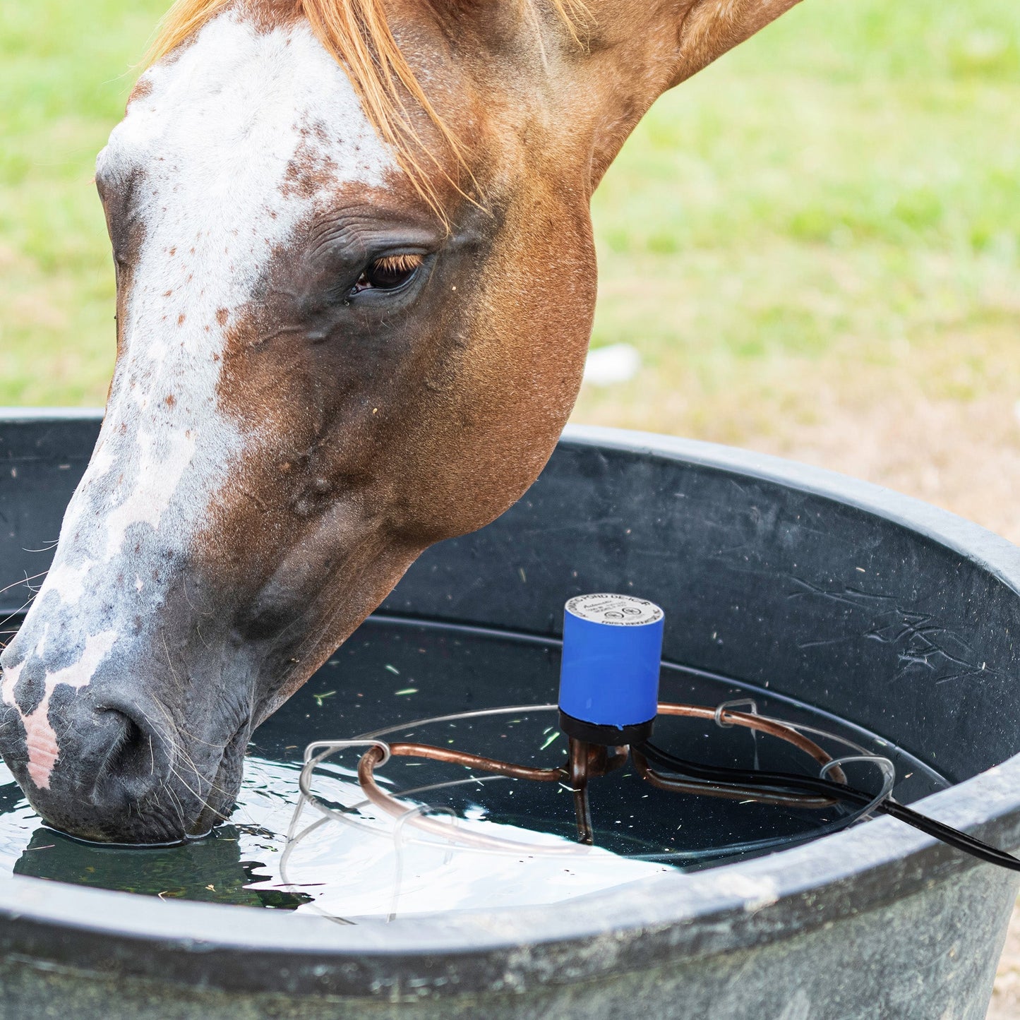 Farm Innovators H-429 1500 Watt Cast Aluminum Submergible Water Deicer