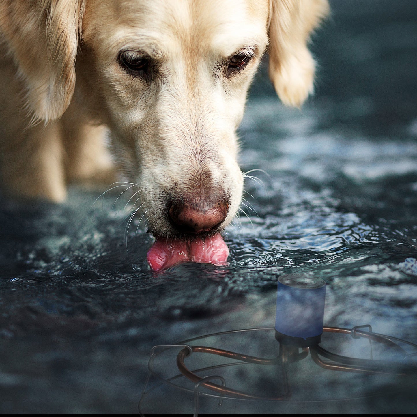 Farm Innovators H-429 1500 Watt Cast Aluminum Submergible Water Deicer (2 Pack)