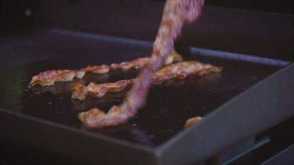 Blackstone 22in w/cover