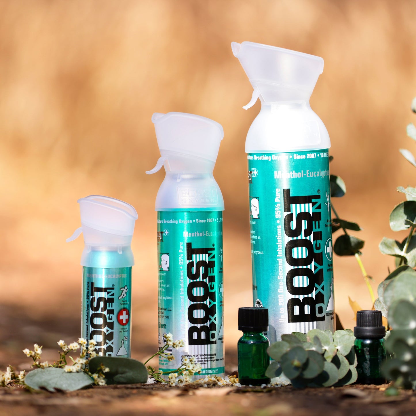 Boost Oxygen Natural Portable 5 Liter Pure Oxygen Variety Canister (16 Pack) - Find Fresh Goods