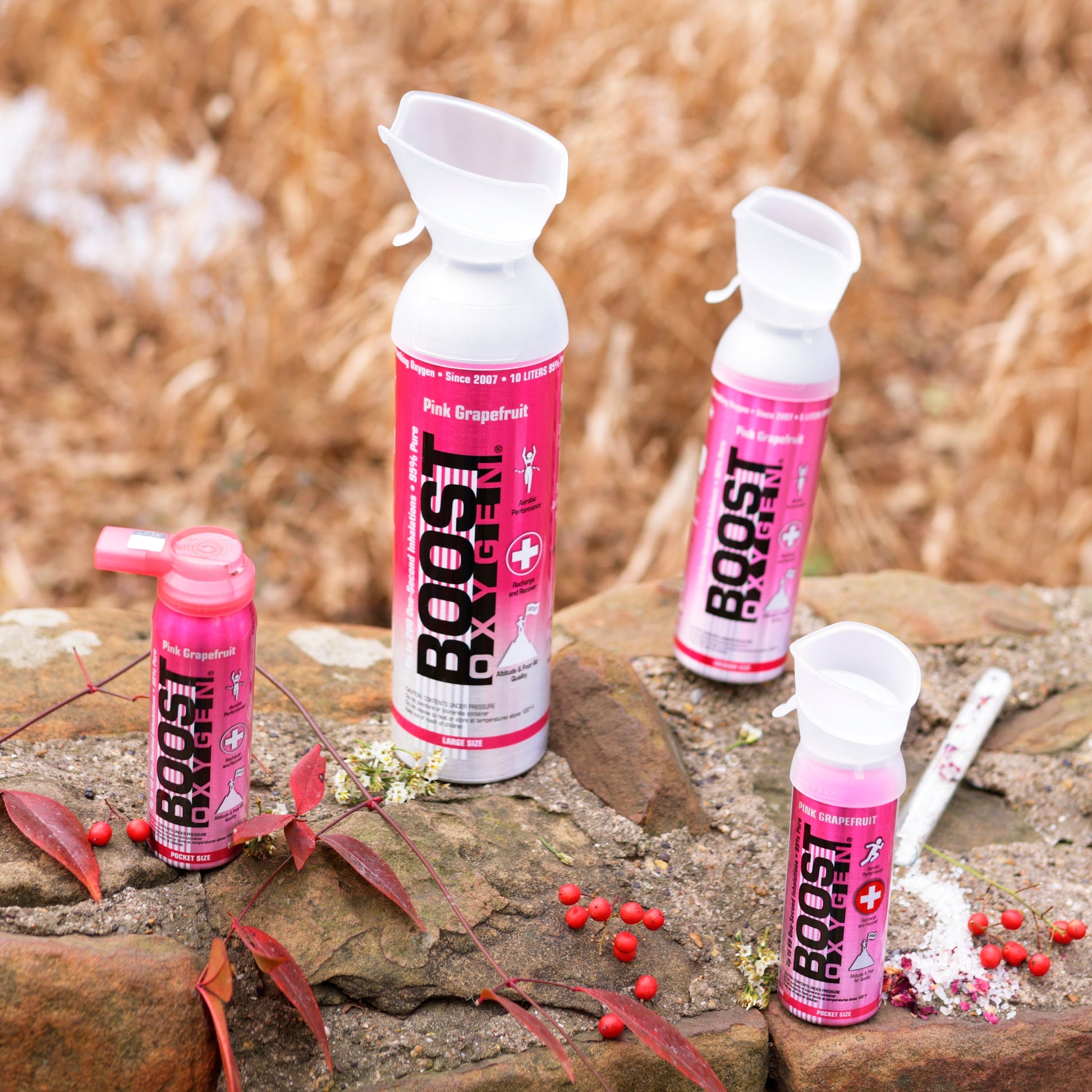 Boost Oxygen Natural Portable 5 Liter Pure Oxygen Variety Canister (16 Pack) - Find Fresh Goods