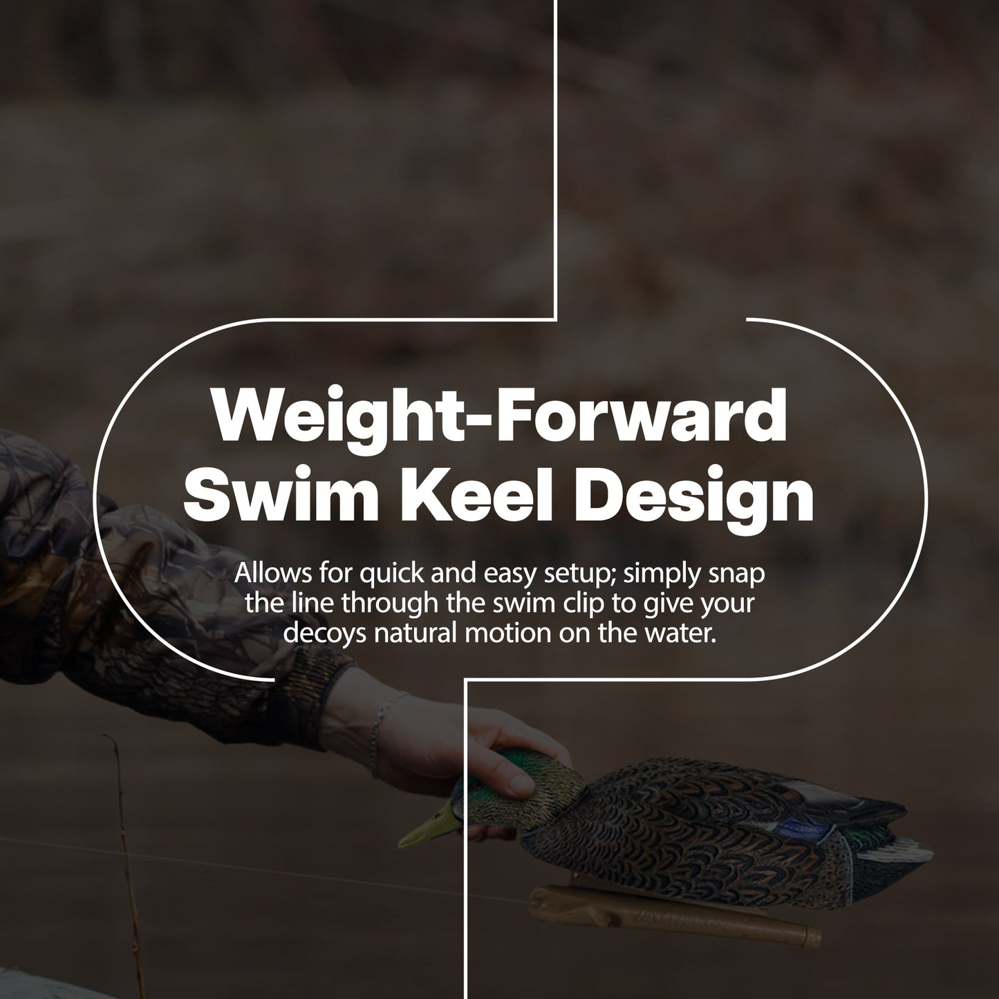 Avian X Topflight Early Season Mallard Duck Realistic Decoys, Multicolor, 6 Pack