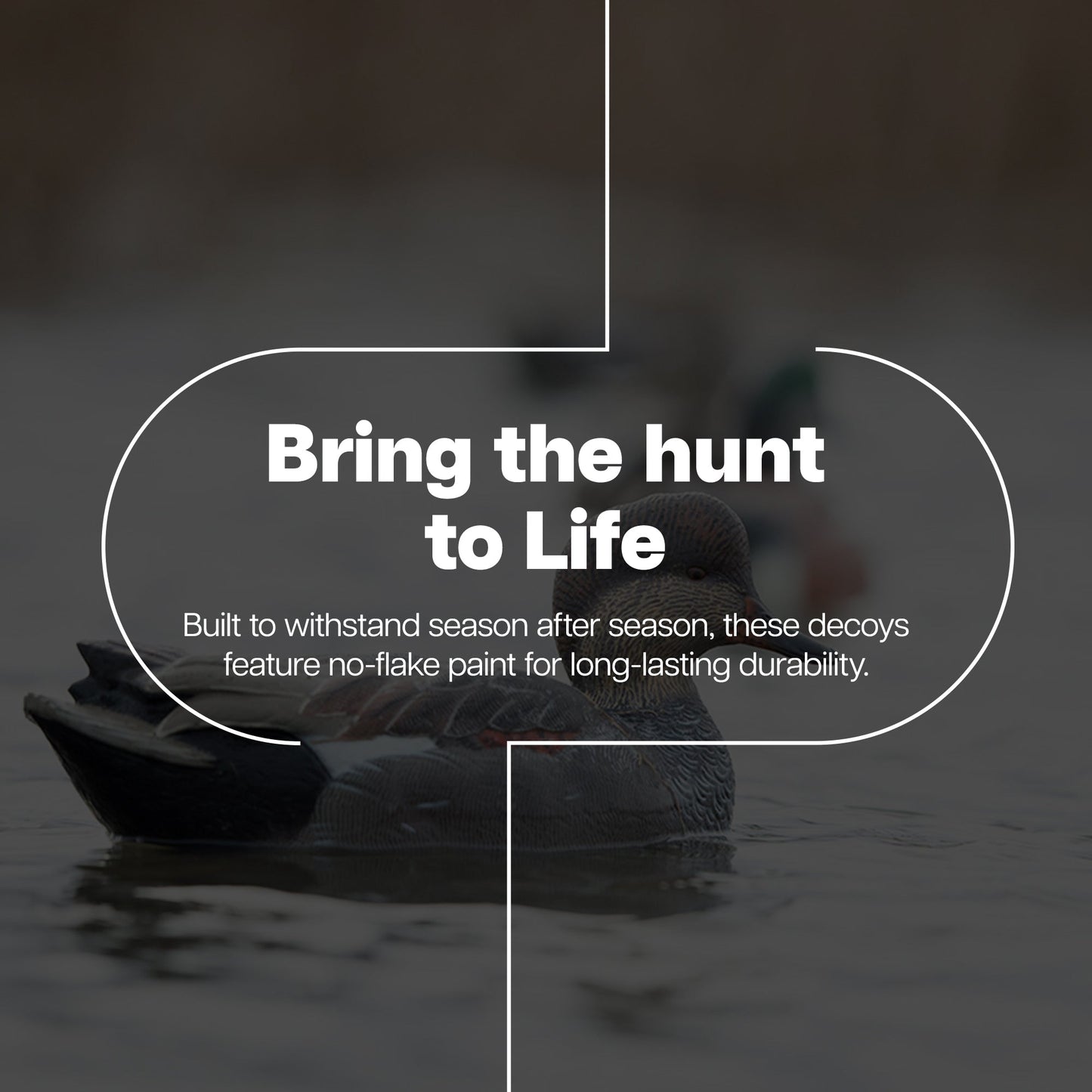 Avian X Topflight Gadwall Decoys Realistic Gray Ducks, Set of 6, Multicolor