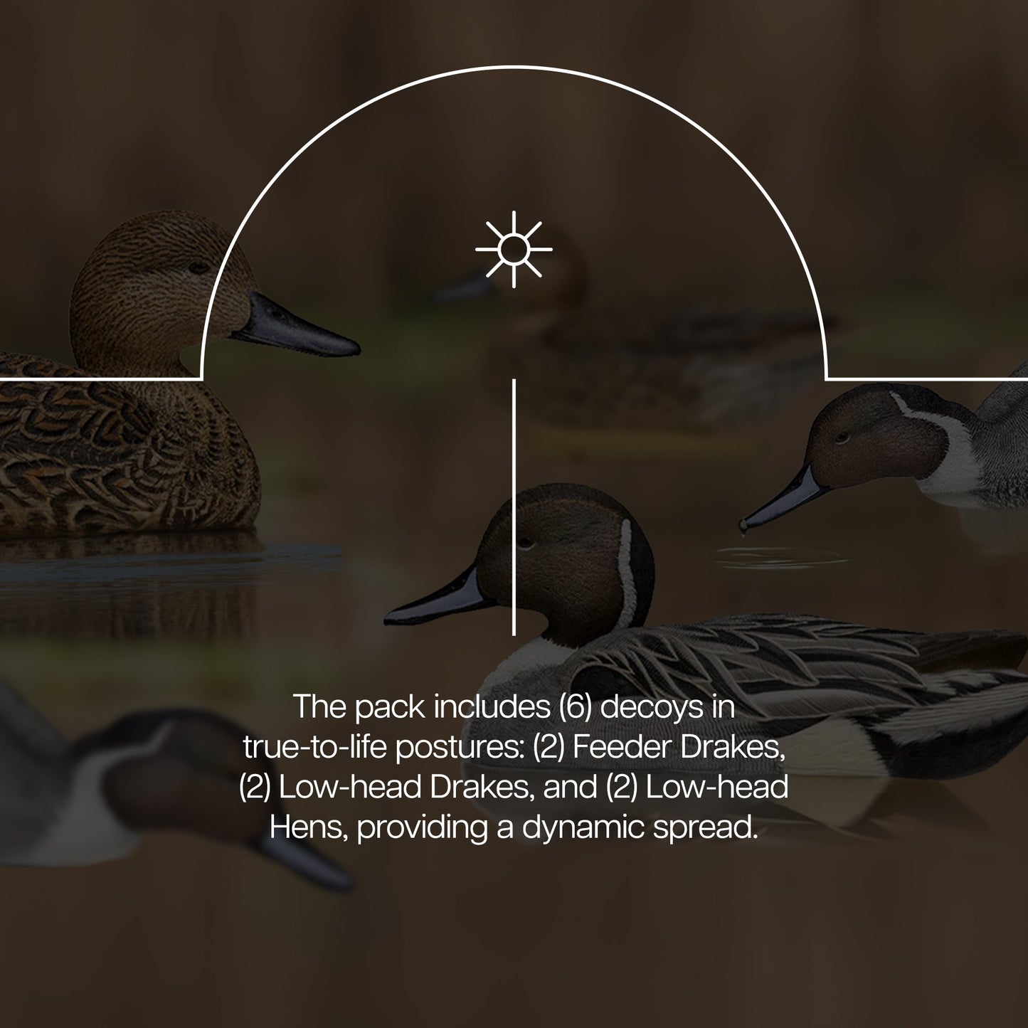 Avian X Topflight Pintails, Realistic Floating Decoys, Set of 6, Multicolor