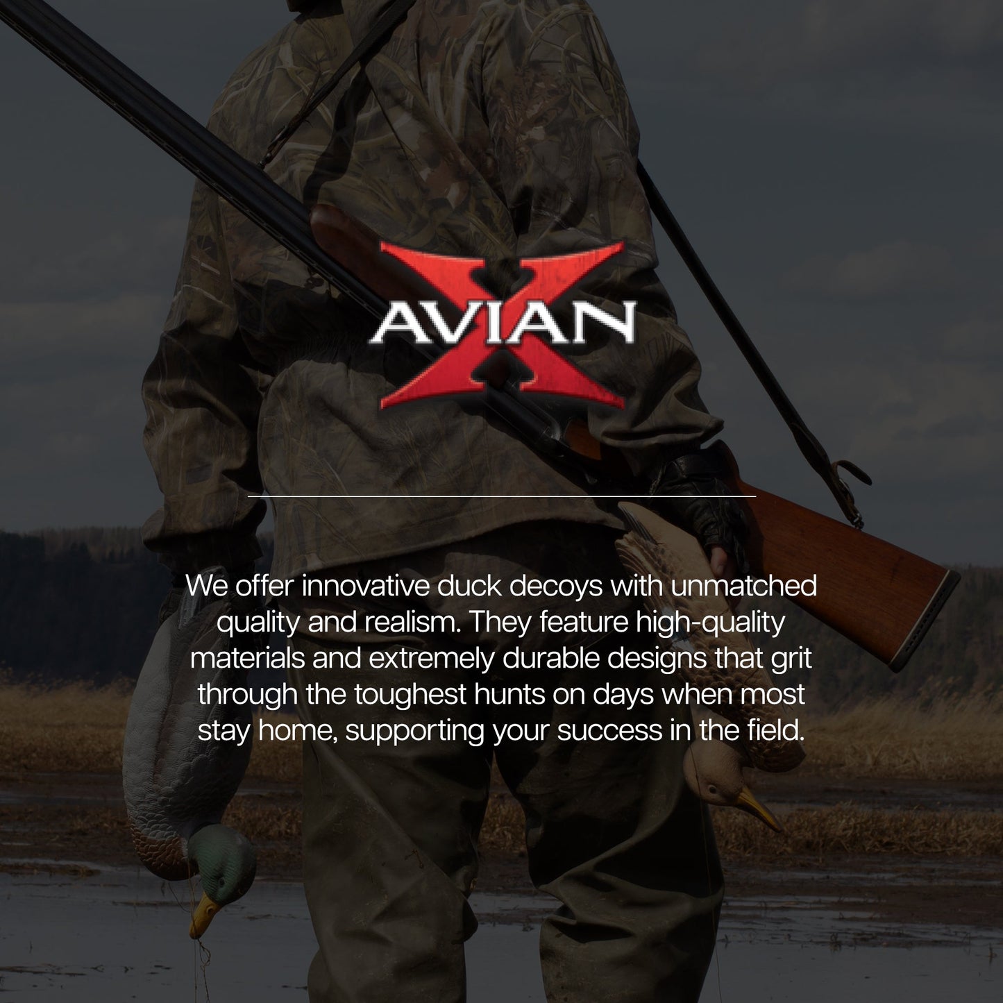 Avian X Topflight Gadwall Decoys Realistic Gray Ducks, Set of 6, Multicolor