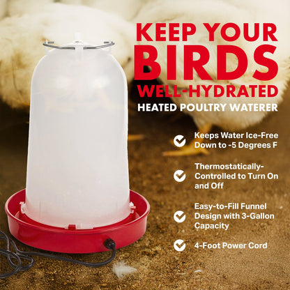 API HPW33 3 Gallon Heated Poultry Chicken Waterer Drinking Water Tank Trough