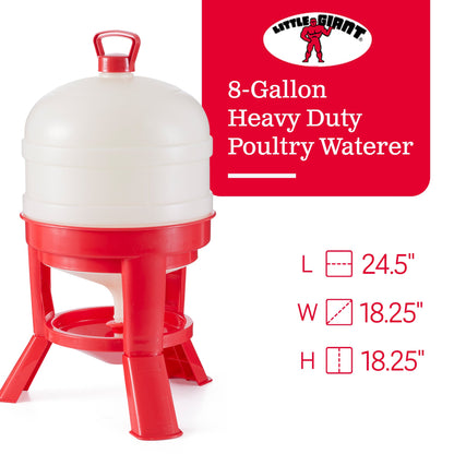 Little Giant 8 Gallon Tank Heavy Duty Poultry Chicken Gravity Waterer (2 Pack)