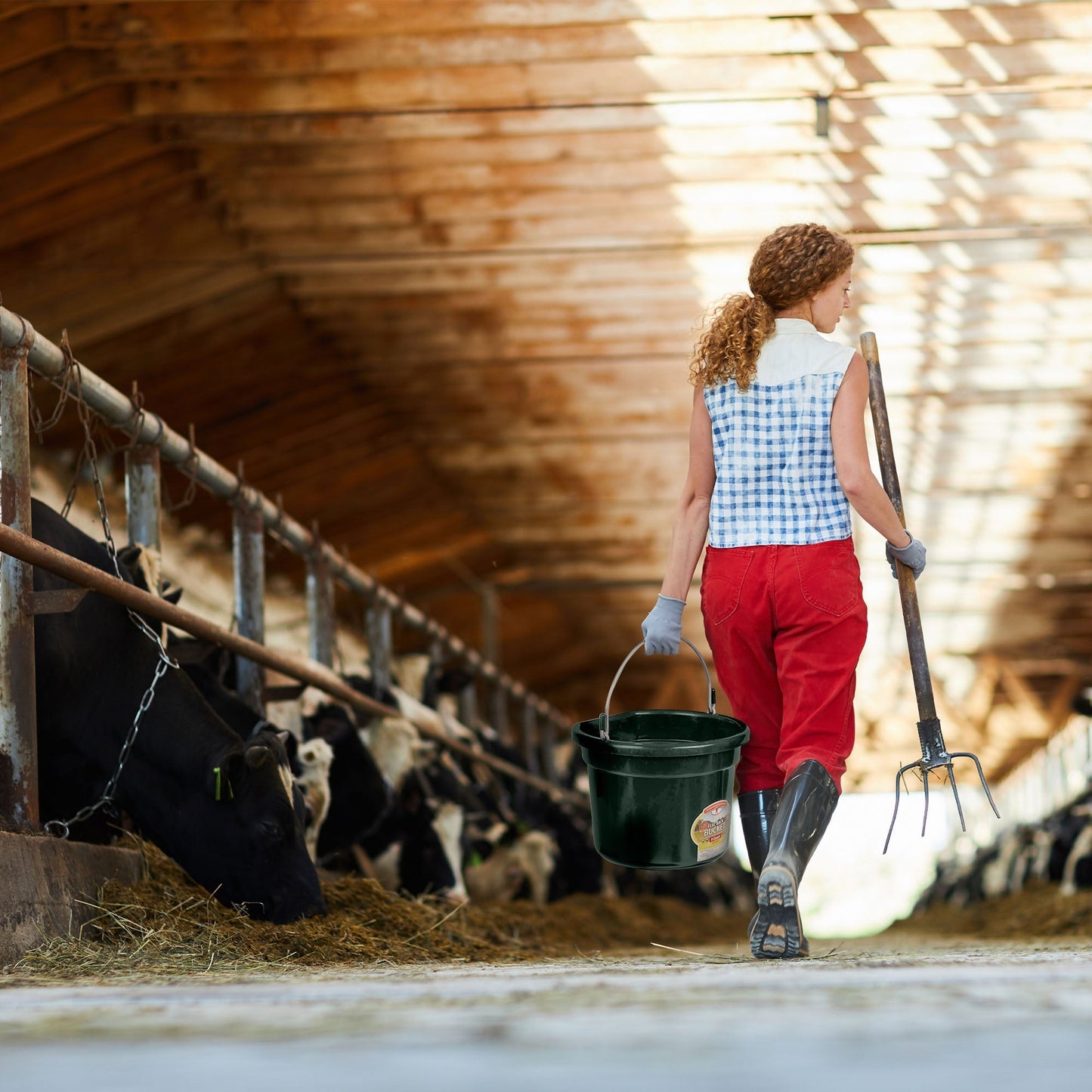 Little Giant 22 Quart Flat Plastic Animal Feed Bucket with Knob Bail, Green