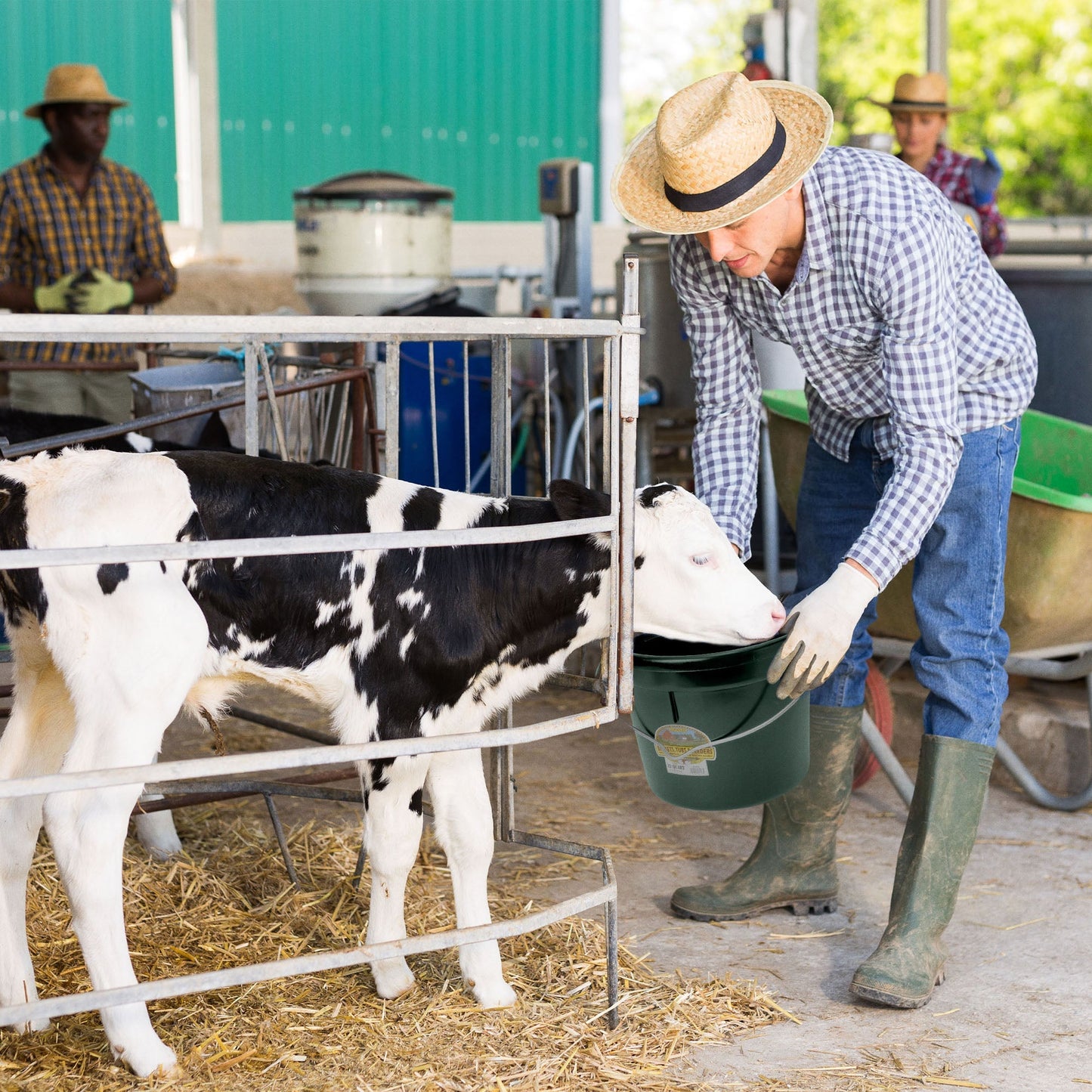 Little Giant 22 Quart Flat Plastic Animal Feed Bucket with Knob Bail, Green