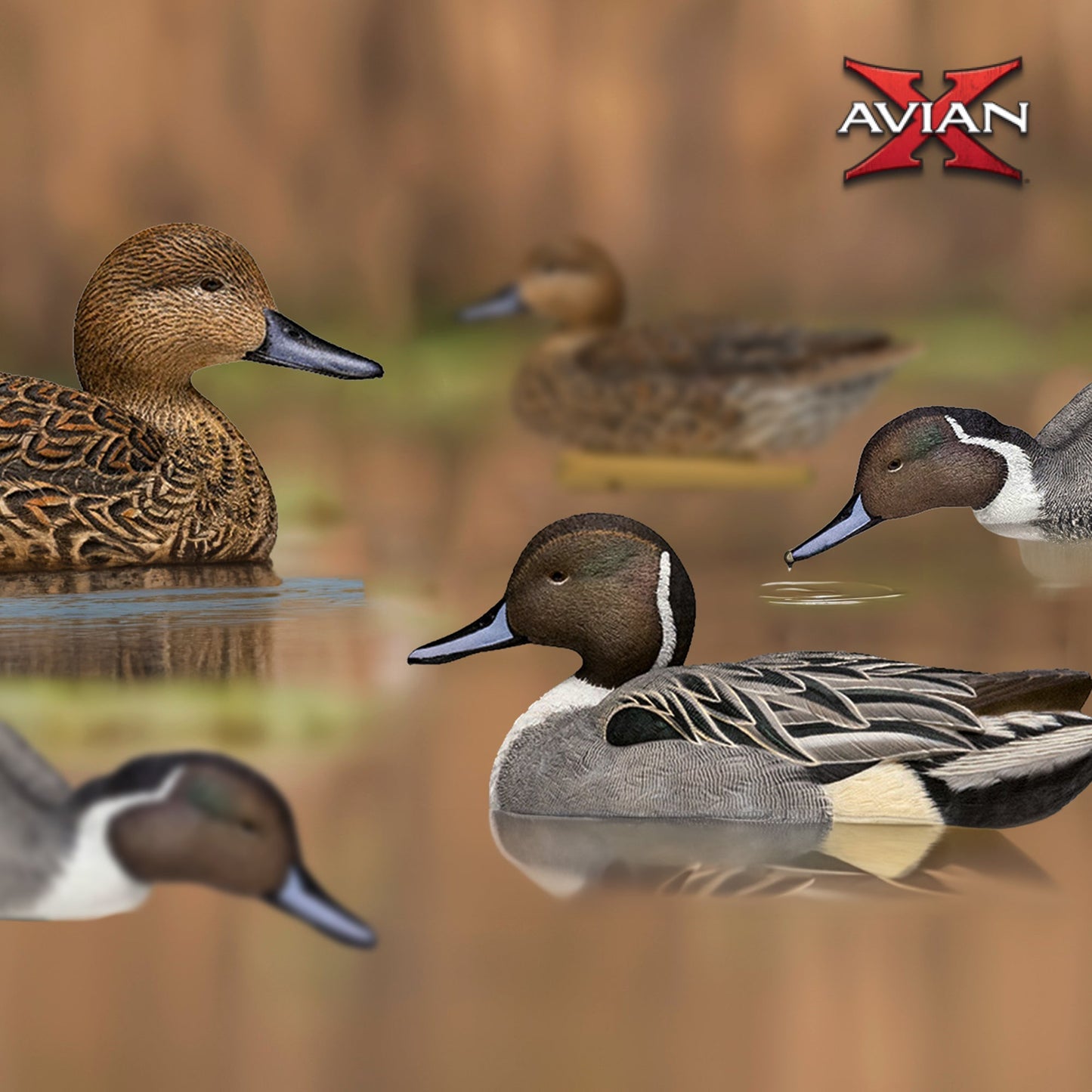 Avian X Topflight Pintails, Realistic Floating Decoys, Set of 6, Multicolor