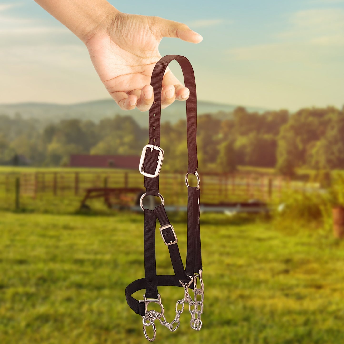 Weaver Leather Medium Cattle Halter with Double Stitched Nylon and Chin Choker