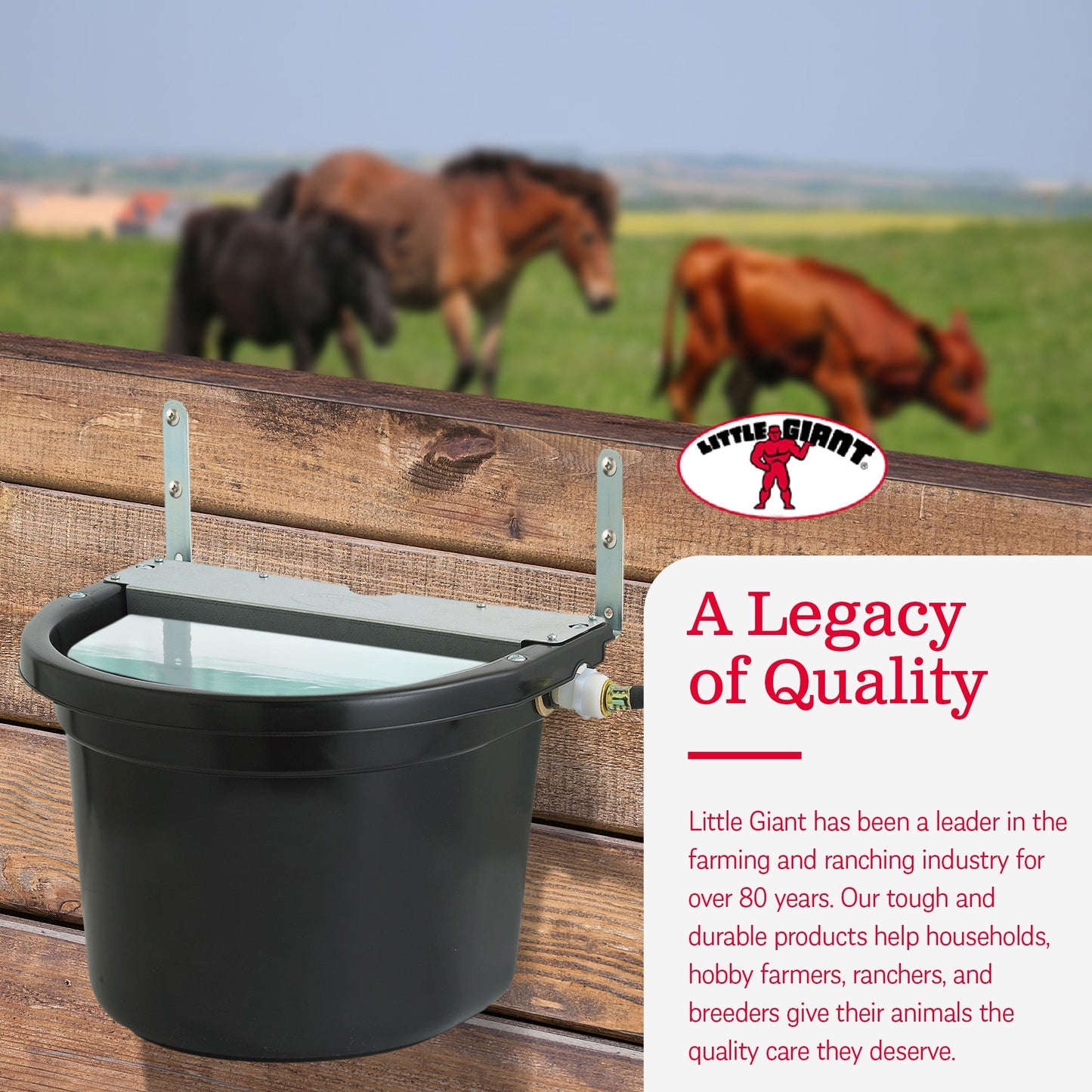Little Giant 4 Gal. Float Controlled Waterer Livestock Water Trough (4 Pack)