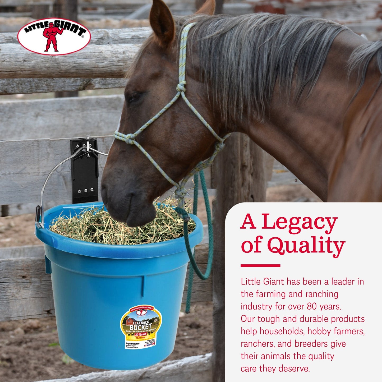 Little Giant All Purpose Heavy Duty Flat Back 20 Quart Plastic Bucket, Teal