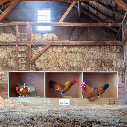 Rugged Ranch TRIPLEX RuggEgg Barn Wooden Chicken Coop Triple Nesting Egg Boxes