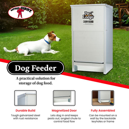 Little Giant Dry Food Automatic Steel Dog Feeder Chow Hound 25 LB (2 Pack)