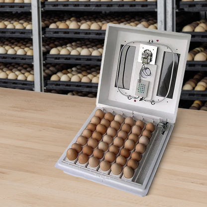 Farm Innovators 40W Digital Circulated Air Incubator for Up to 4 Eggs (4 Pack)