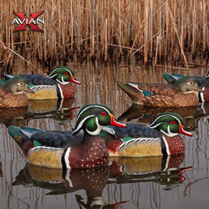 Avian X Topflight Wood Ducks, Realistic Floating Decoys, 6 Pack, Multicolor