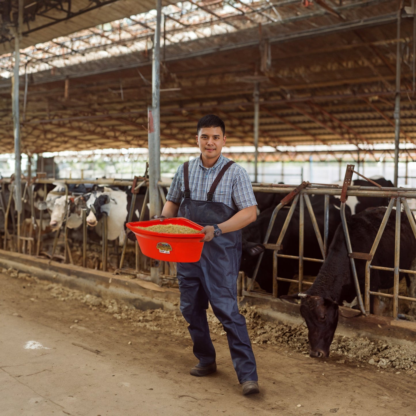 Little Giant 26 Quart Plastic Hanging Corner Livestock Animal Feeder Bucket, Red