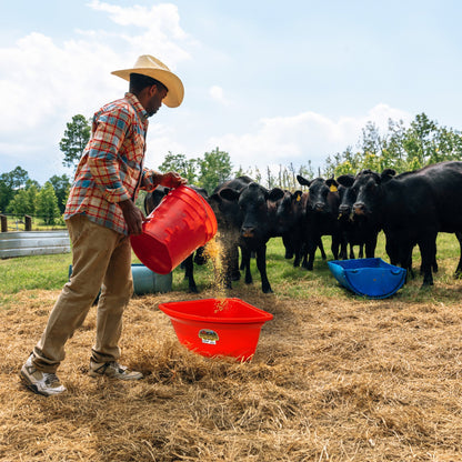 Little Giant 26 Quart Plastic Hanging Corner Livestock Animal Feeder Bucket, Red