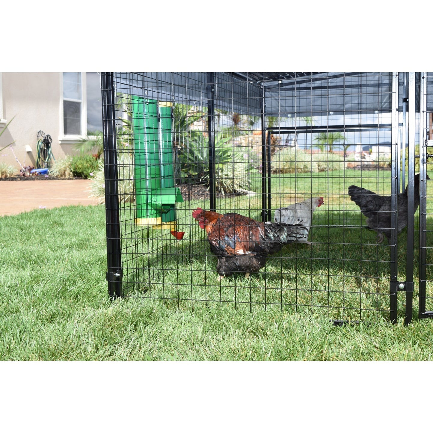 Rugged Ranch High End Hen Elevated 10 Pound Poultry Feeder and Mounting System