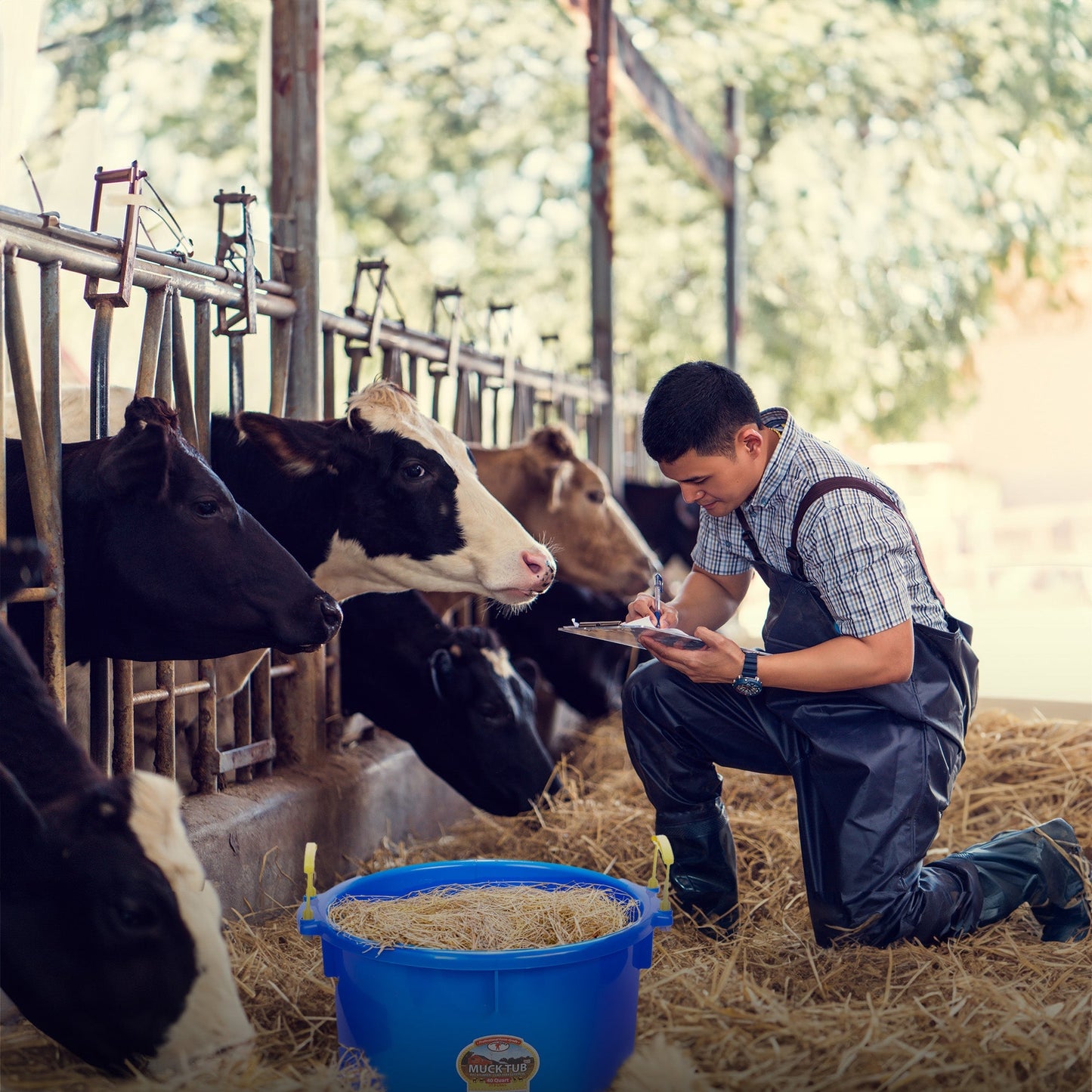 Little Giant 40 Quart Durable and Versatile Utility Muck Tub w/Handles, Blue