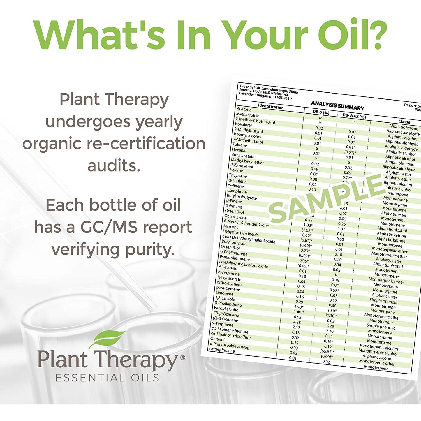 Plant Therapy Aromatherapy Diffusible 30mL Essential Oil, 1 Ounce, Ylang Ylang