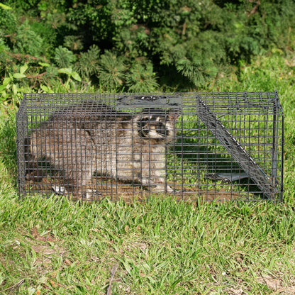 Rugged Ranch CatchMor Live Animal Multi Catch 2 Pack Trap, 1 Large & 1 Small