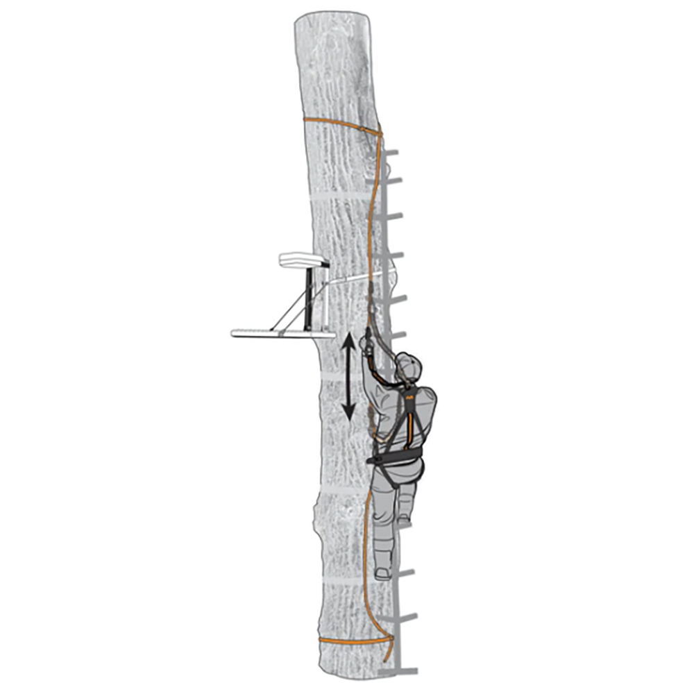 Muddy Safe-Line 30" Durable Nylon Outdoor Hunting & Tree Stand System, (6 Pack)