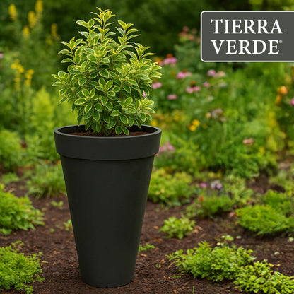 Tierra Verde Aria Indoor Outdoor Self Watering Planter, 12.5"W x 20"H, Black
