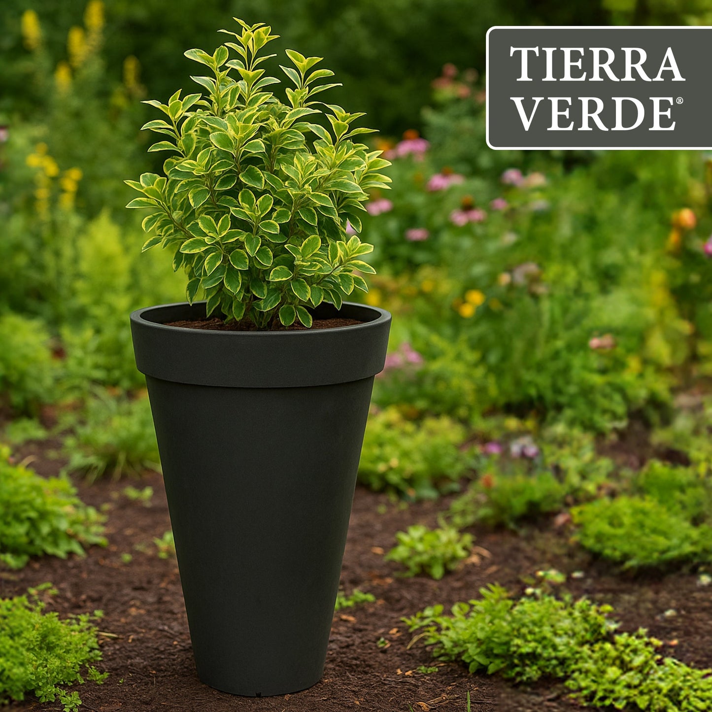 Tierra Verde Aria Indoor Outdoor Self Watering Tall Planter, 15"W x 26"H, Black