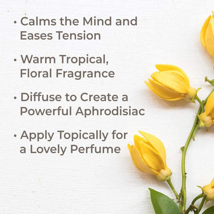 Plant Therapy Aromatherapy Diffusible 30mL Essential Oil, 1 Ounce, Ylang Ylang